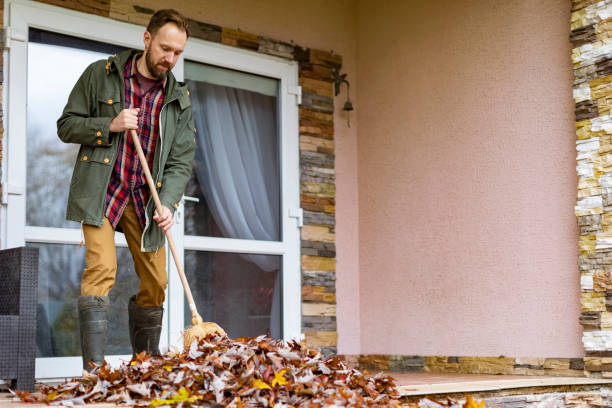 Attic Cleanout Services in Richmond Heights, MO